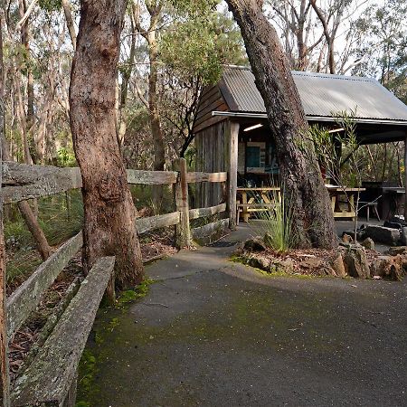 Jemby Rinjah Ecolodge Blackheath Exterior photo